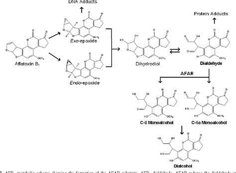 aflatoxine b1 dilution